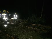 Sturm - Baum über Schiene